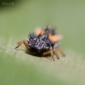 CR 130626 022_.jpg